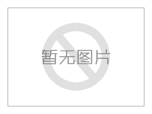閘門開度雙荷重儀的功能及工作原理